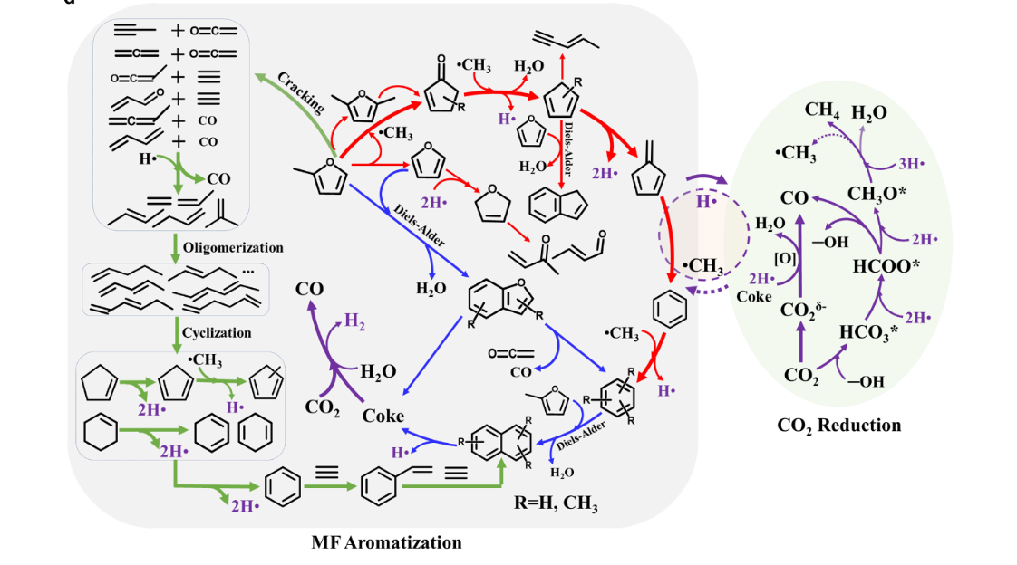 广州能源研究所在CO<sub>2</sub>和生物基呋喃共转化研究方面取得进展